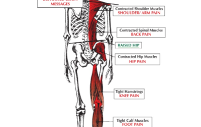 Poor Posture Can Make You Old – FAST!