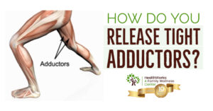 adductors