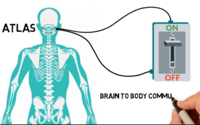 When Atlas/C1 is Out of Alignment, Why is it the Only Vertebra Adjusted?