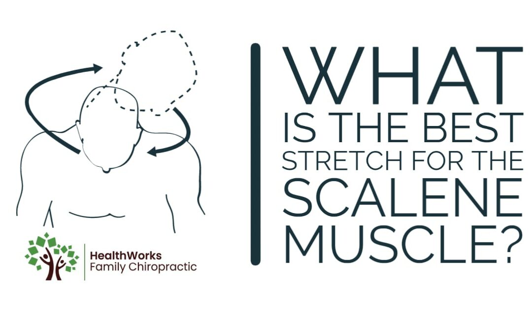 What Is The Best Stretch For The Scalene Muscle?