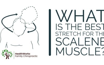 What Is The Best Stretch For The Scalene Muscle?