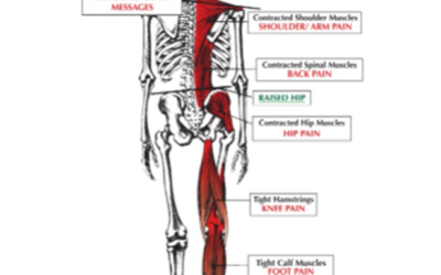 Can Chiropractic help with TMJ pain?