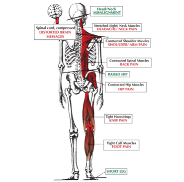 Can Chiropractic help with TMJ pain?