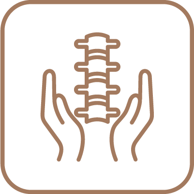 Icon of a spine between two hands