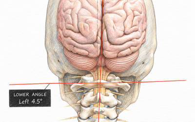 How We Use X-Ray Analysis to Actually See What’s Wrong